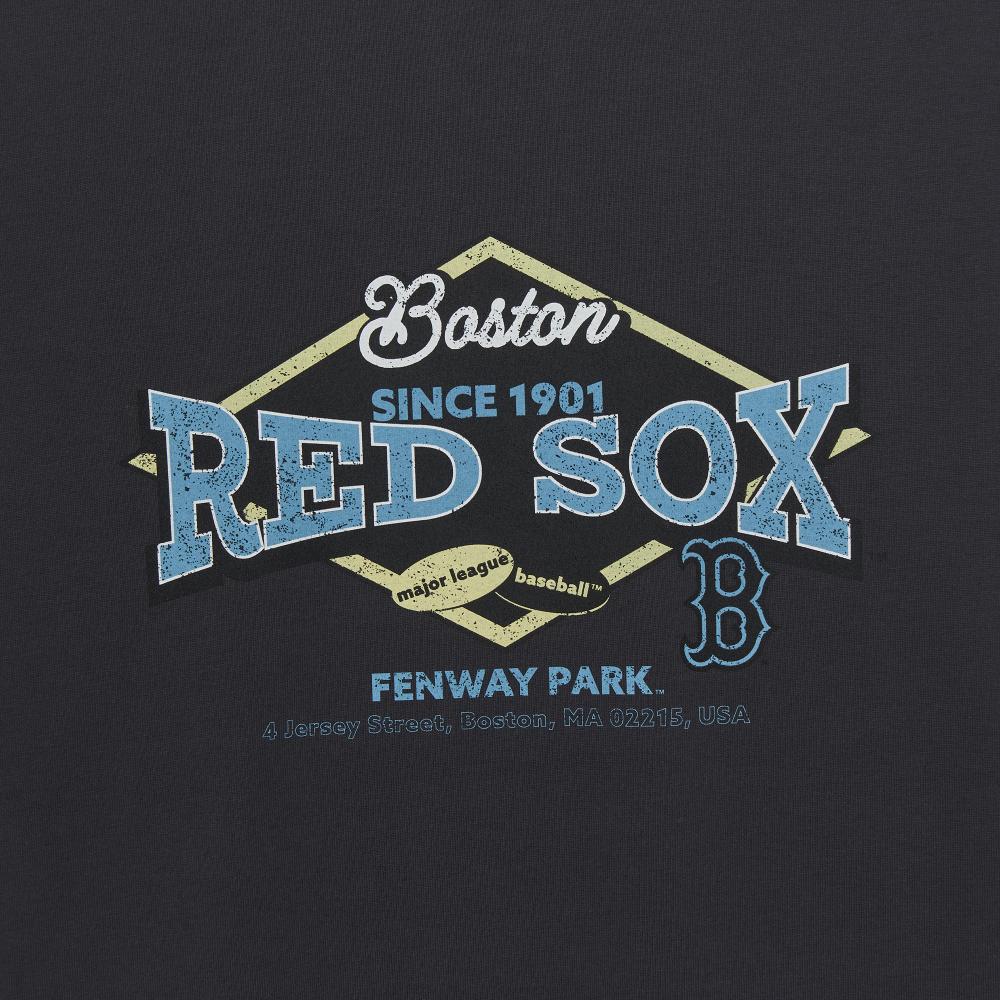 Vintage Stadium Graphic T-Shirts Boston Red Sox